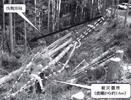 写真２　被災箇所の状況②