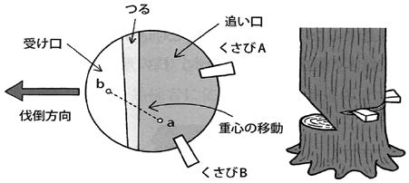 casestudy090_2