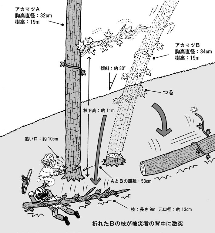 casestudy120_2