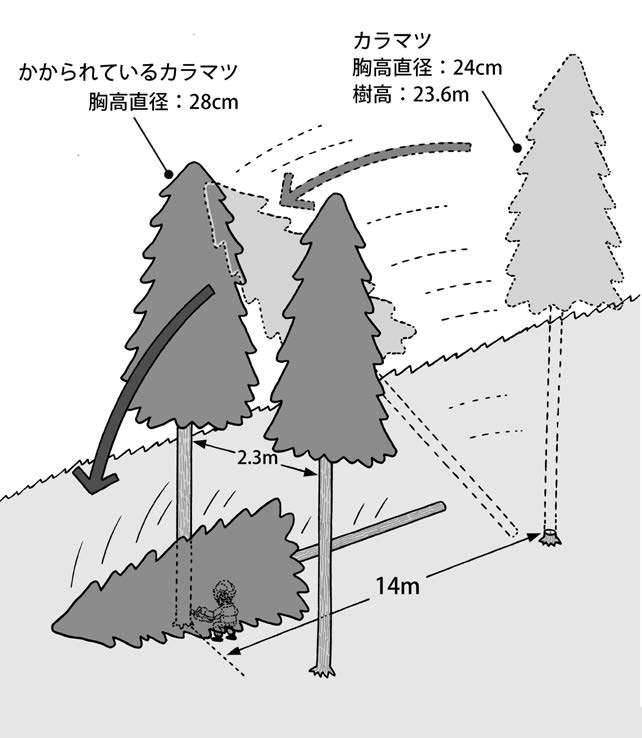 casestudy135