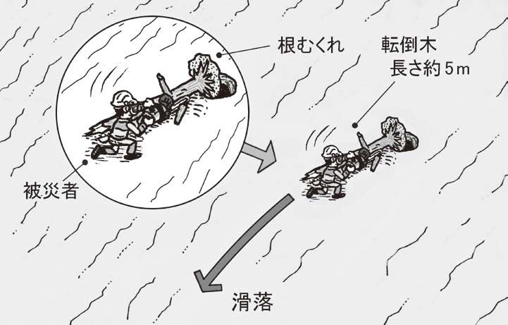 チェーンソーで造材中の転倒木が転落し、それに巻き込まれ斜面を滑落