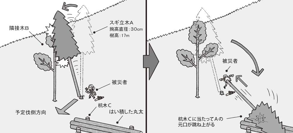 伐倒木が杭に当たり、伐倒木の元口が跳ね上がり激突災害事例研究