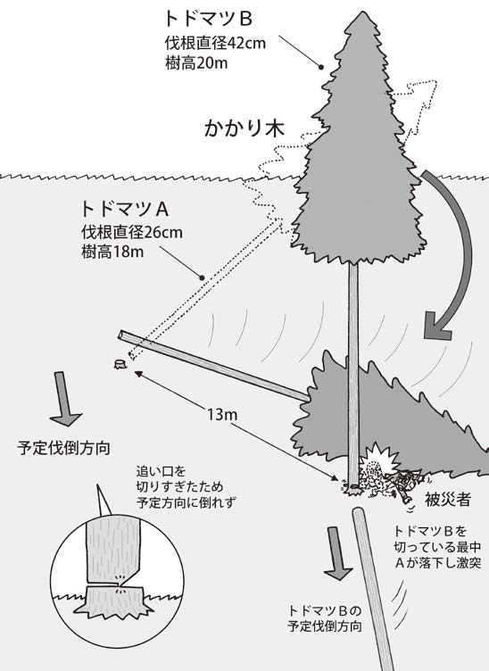 かかられた木を伐倒していたところ、かかり木が外れ被災者に激突